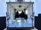 2025 RAM ProMaster 3500 Base